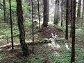 Нажмите на изображение для увеличения.

Название:	DSCF1266.jpg
Просмотров:	1049
Размер:	89.6 Кб
ID:	3621702