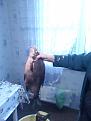 Нажмите на изображение для увеличения.

Название:	&#1042;.&#1041;&#1077;&#1088;&#1077;&#1079;&#1080;&#1085;&#1072;.jpg
Просмотров:	1295
Размер:	169.3 Кб
ID:	3622231