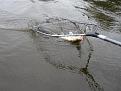 Нажмите на изображение для увеличения.

Название:	IMG_0052.jpg
Просмотров:	1435
Размер:	193.7 Кб
ID:	3622285