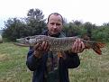 Нажмите на изображение для увеличения.

Название:	20130901_085908.jpg
Просмотров:	1682
Размер:	194.1 Кб
ID:	3622539