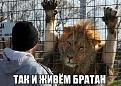 Нажмите на изображение для увеличения.

Название:	getImage.jpg
Просмотров:	434
Размер:	50.9 Кб
ID:	3625162