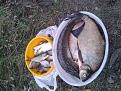 Нажмите на изображение для увеличения.

Название:	20130915_133815.jpg
Просмотров:	1423
Размер:	205.9 Кб
ID:	3625814