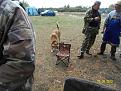 Нажмите на изображение для увеличения.

Название:	SDC10111.jpg
Просмотров:	187
Размер:	199.3 Кб
ID:	3627887