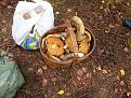 Нажмите на изображение для увеличения.

Название:	20130923_122034.jpg
Просмотров:	1199
Размер:	198.7 Кб
ID:	3628369
