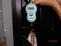 Нажмите на изображение для увеличения.

Название:	P9110143.jpg
Просмотров:	416
Размер:	182.6 Кб
ID:	3630303