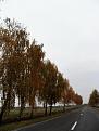 Нажмите на изображение для увеличения.

Название:	101_4908.jpg
Просмотров:	935
Размер:	91.8 Кб
ID:	3632864