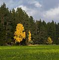 Нажмите на изображение для увеличения.

Название:	2013-10-13.jpg
Просмотров:	568
Размер:	173.7 Кб
ID:	3633205