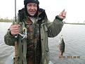 Нажмите на изображение для увеличения.

Название:	DSCN1747.jpg
Просмотров:	1021
Размер:	83.6 Кб
ID:	3634703