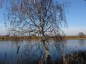 Нажмите на изображение для увеличения.

Название:	IMG_7125_s.jpg
Просмотров:	959
Размер:	200.8 Кб
ID:	3636263