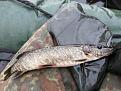 Нажмите на изображение для увеличения.

Название:	20131105_170933.jpg
Просмотров:	849
Размер:	194.1 Кб
ID:	3636568