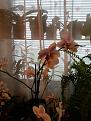 Нажмите на изображение для увеличения.

Название:	20131116_133958.jpg
Просмотров:	240
Размер:	92.1 Кб
ID:	3638054