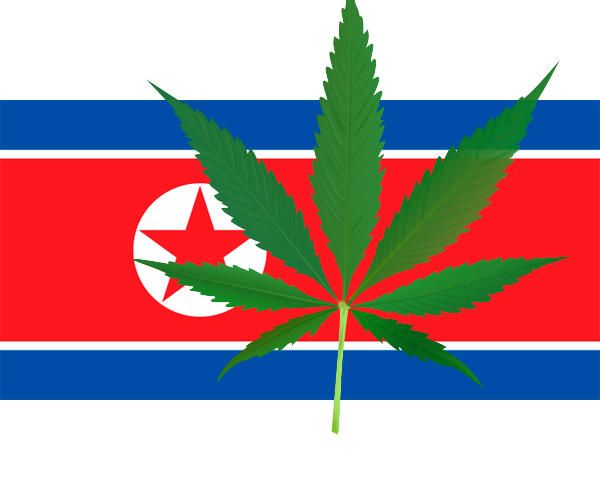Северная корея и марихуана заказать семена конопли в москве