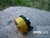 Нажмите на изображение для увеличения.

Название:	free-shipping-ATUO-OFF-camping-stove-lamp-connector-gas-adapter.jpg
Просмотров:	952
Размер:	1.5 Кб
ID:	3640832
