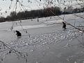 Нажмите на изображение для увеличения.

Название:	20131210160602.jpg
Просмотров:	1163
Размер:	176.3 Кб
ID:	3641823