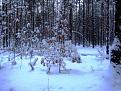 Нажмите на изображение для увеличения.

Название:	IMG_4660.JPG
Просмотров:	4849
Размер:	133.7 Кб
ID:	3641936