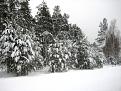 Нажмите на изображение для увеличения.

Название:	IMG_4652.JPG
Просмотров:	4803
Размер:	115.9 Кб
ID:	3641939