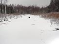 Нажмите на изображение для увеличения.

Название:	DSCF2381.jpg
Просмотров:	503
Размер:	111.5 Кб
ID:	3642207