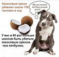 Нажмите на изображение для увеличения.

Название:	404.jpg
Просмотров:	318
Размер:	120.2 Кб
ID:	3642223