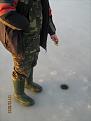 Нажмите на изображение для увеличения.

Название:	IMG_0613.jpg
Просмотров:	780
Размер:	127.9 Кб
ID:	3643176