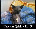 Нажмите на изображение для увеличения.

Название:	163800_304536.jpg
Просмотров:	1318
Размер:	42.7 Кб
ID:	3643205