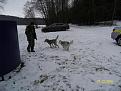 Нажмите на изображение для увеличения.

Название:	SDC10350.jpg
Просмотров:	256
Размер:	189.0 Кб
ID:	3644234
