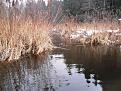 Нажмите на изображение для увеличения.

Название:	DSCF2590.jpg
Просмотров:	1080
Размер:	194.4 Кб
ID:	3647153