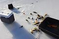 Нажмите на изображение для увеличения.

Название:	Lake Hopatcong 9-01-2014 002.jpg
Просмотров:	805
Размер:	186.2 Кб
ID:	3648242