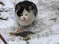 Нажмите на изображение для увеличения.

Название:	IMG_4015.jpg
Просмотров:	761
Размер:	195.8 Кб
ID:	3648911