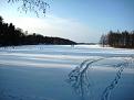 Нажмите на изображение для увеличения.

Название:	IMG_4726.jpg
Просмотров:	752
Размер:	72.8 Кб
ID:	3649376