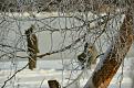 Нажмите на изображение для увеличения.

Название:	DSC_0223.jpg
Просмотров:	540
Размер:	174.1 Кб
ID:	3649718