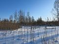 Нажмите на изображение для увеличения.

Название:	IMG_0398.jpg
Просмотров:	774
Размер:	73.5 Кб
ID:	3650174