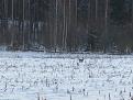 Нажмите на изображение для увеличения.

Название:	IMG_0421.jpg
Просмотров:	765
Размер:	60.2 Кб
ID:	3650182