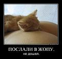 Нажмите на изображение для увеличения.

Название:	69jxqcoikx3g[1].jpg
Просмотров:	1378
Размер:	34.1 Кб
ID:	3650194