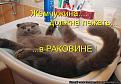 Нажмите на изображение для увеличения.

Название:	165278709[1].jpg
Просмотров:	1316
Размер:	55.9 Кб
ID:	3650200