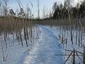 Нажмите на изображение для увеличения.

Название:	IMG_0454.jpg
Просмотров:	997
Размер:	82.2 Кб
ID:	3651004