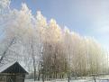 Нажмите на изображение для увеличения.

Название:	WP_000197.jpg
Просмотров:	448
Размер:	156.4 Кб
ID:	3651143