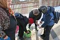 Нажмите на изображение для увеличения.

Название:	IMG_0668.jpg
Просмотров:	691
Размер:	76.8 Кб
ID:	3653521