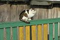Нажмите на изображение для увеличения.

Название:	IMG_0673.jpg
Просмотров:	596
Размер:	53.2 Кб
ID:	3653525