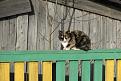 Нажмите на изображение для увеличения.

Название:	IMG_0674.jpg
Просмотров:	580
Размер:	66.2 Кб
ID:	3653526
