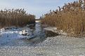 Нажмите на изображение для увеличения.

Название:	IMG_0685.jpg
Просмотров:	604
Размер:	76.2 Кб
ID:	3653531