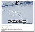 Нажмите на изображение для увеличения.

Название:	OQZMUdicA3U.jpeg
Просмотров:	1305
Размер:	27.2 Кб
ID:	3655454