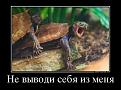 Нажмите на изображение для увеличения.

Название:	11.jpg
Просмотров:	1287
Размер:	41.7 Кб
ID:	3655634