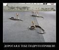 Нажмите на изображение для увеличения.

Название:	12.jpg
Просмотров:	1294
Размер:	49.8 Кб
ID:	3655635