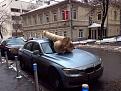 Нажмите на изображение для увеличения.

Название:	23.jpg
Просмотров:	1291
Размер:	64.2 Кб
ID:	3655645