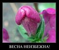 Нажмите на изображение для увеличения.

Название:	getImage[9].jpg
Просмотров:	1343
Размер:	32.2 Кб
ID:	3655648