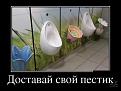 Нажмите на изображение для увеличения.

Название:	getImage[10].jpg
Просмотров:	1241
Размер:	34.7 Кб
ID:	3657735