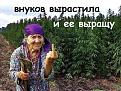 Нажмите на изображение для увеличения.

Название:	getImage9QLUIB0C.jpg
Просмотров:	1264
Размер:	86.2 Кб
ID:	3657738