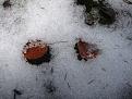Нажмите на изображение для увеличения.

Название:	IMG_4954.JPG
Просмотров:	710
Размер:	98.3 Кб
ID:	3657925