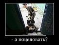 Нажмите на изображение для увеличения.

Название:	getImageBI84V0XU.jpg
Просмотров:	1315
Размер:	39.4 Кб
ID:	3658722
