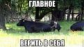 Нажмите на изображение для увеличения.

Название:	getImageHTLIUCSN.jpg
Просмотров:	1291
Размер:	32.9 Кб
ID:	3658726